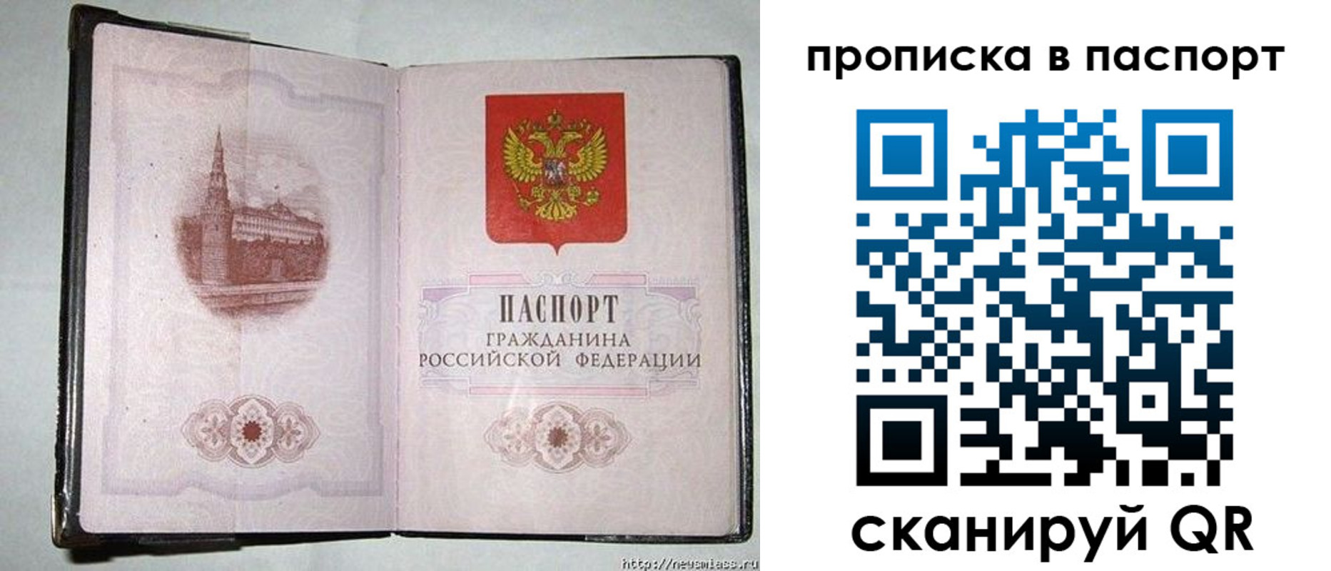 прописка штамп в Вологде